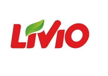 LIVIO skutecznie stawia czoła wyzwaniom rynku